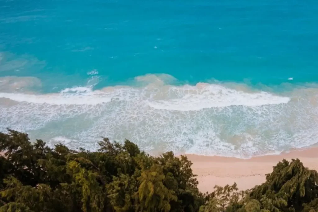 Praias litoral norte em Floripa: conheça os melhores lugares para visitar