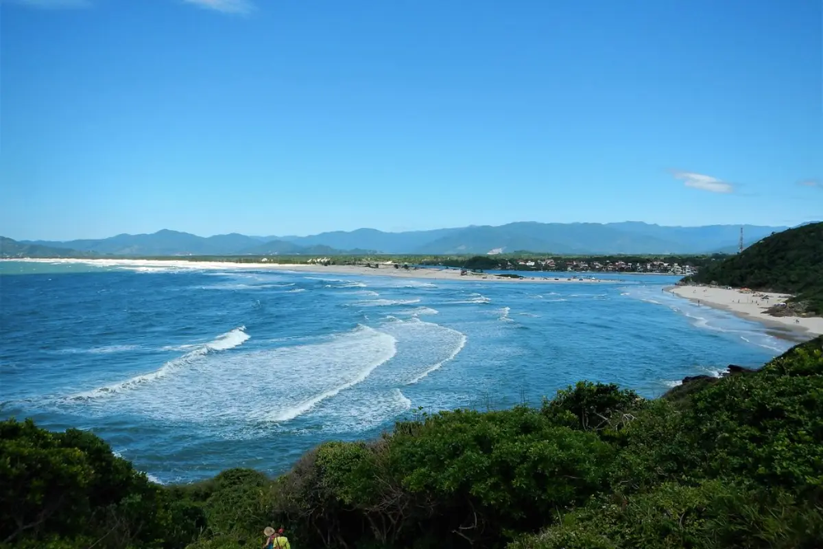 Praia com mar calmo em foto tirada de ângulo diagonal, com visão de cima, ao alto de uma colina com copas de árvores.