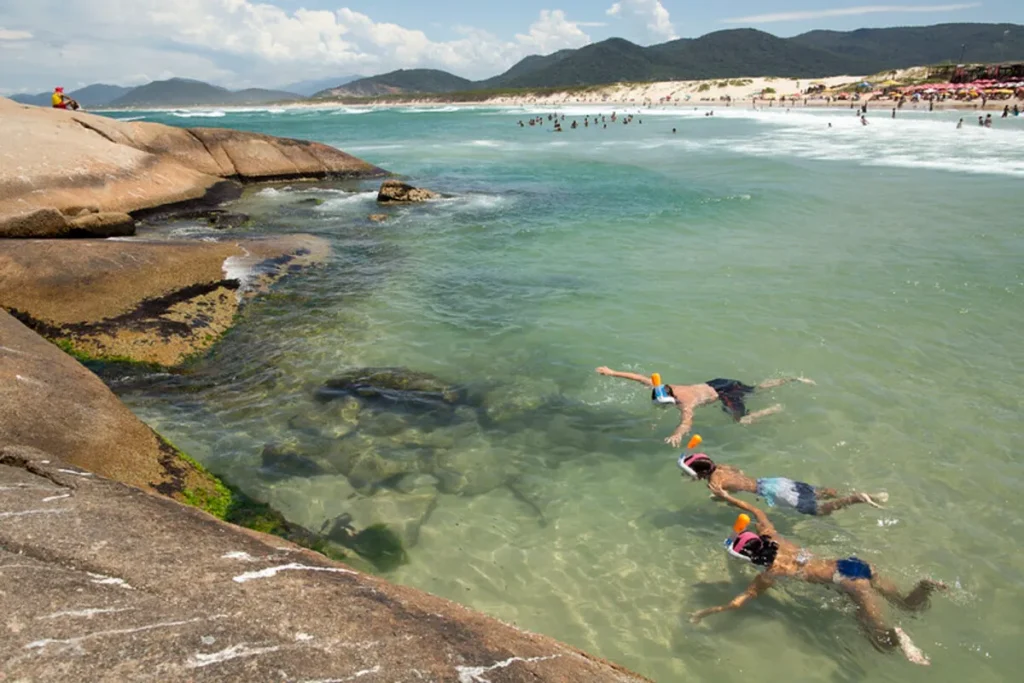 Uma vista da praia da Joaquina, com três pessoas praticando mergulho com snorkel em águas claras e rasas perto de rochas em primeiro plano. Ao fundo, a praia está lotada de banhistas, com dunas e morros.