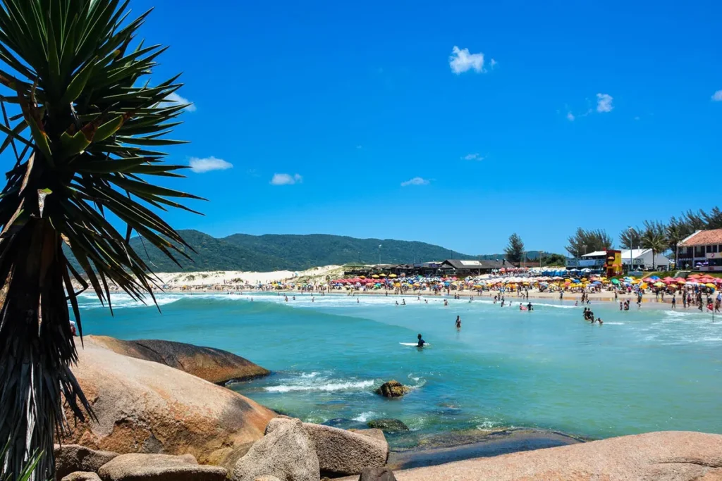 Uma vista da praia da Joaquina, com uma grande faixa de areia lotada de pessoas e barracas, com mar azul-turquesa e ondas. Ao fundo, dunas de areia branca e uma colina coberta de vegetação.
