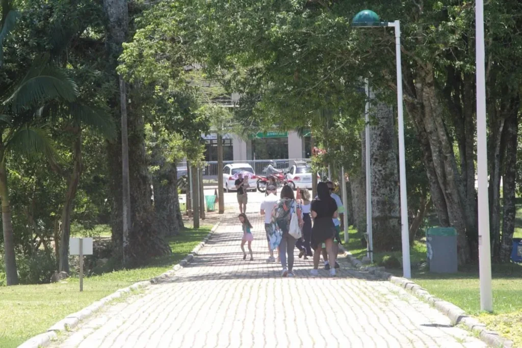 Pessoas caminhando em uma alameda de um Jardim Botânico, com grandes árvores ao lado, representando um passeio relaxante em um parque.