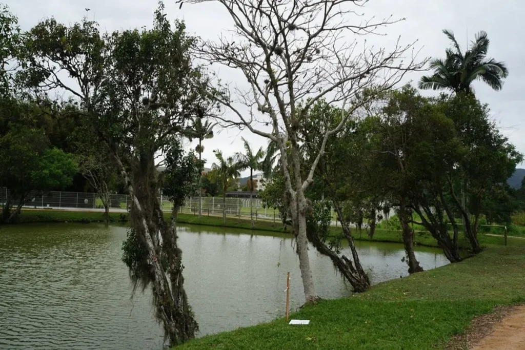Vista de um lago com árvores e gramado nas margens em um dia nublado, representando a beleza da paisagem de um Jardim Botânico.