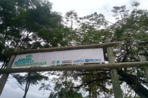 Placa de entrada do Jardim Botânico de Florianópolis feita de madeira rústica, com o nome do local e logotipos institucionais, indicando o acesso ao parque.