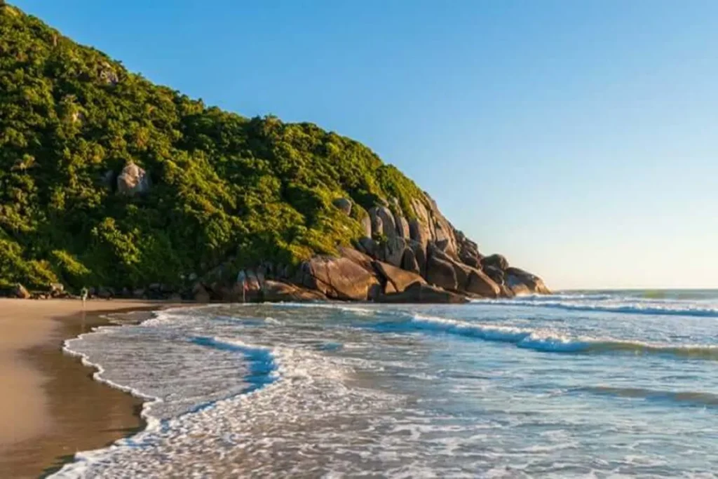 Vista da Praia Brava com ondas quebrando na areia, montanha rochosa coberta por vegetação e céu azul.
