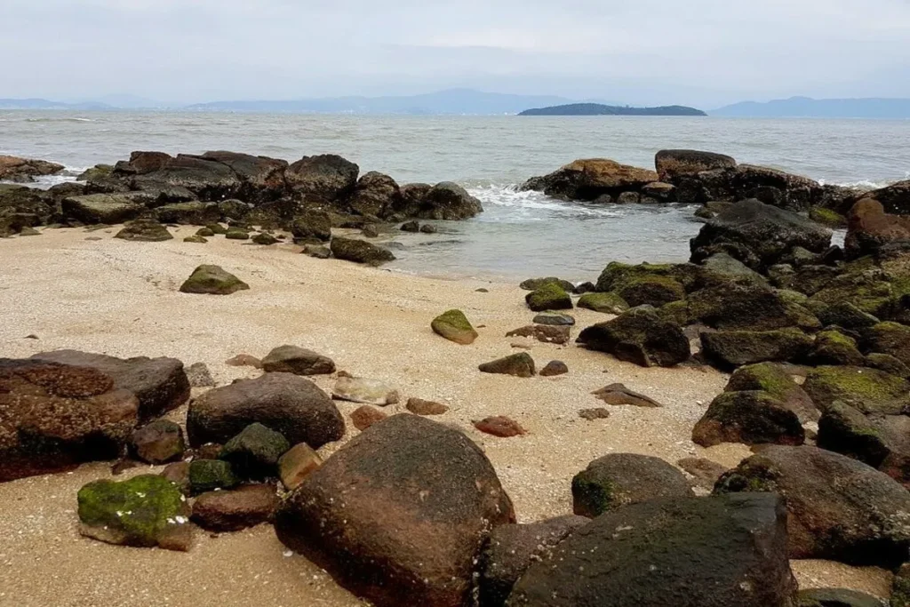 Praia de Sambaqui com pedras grandes e musgo, em um dia nublado. A água do mar e a ilha à distância.