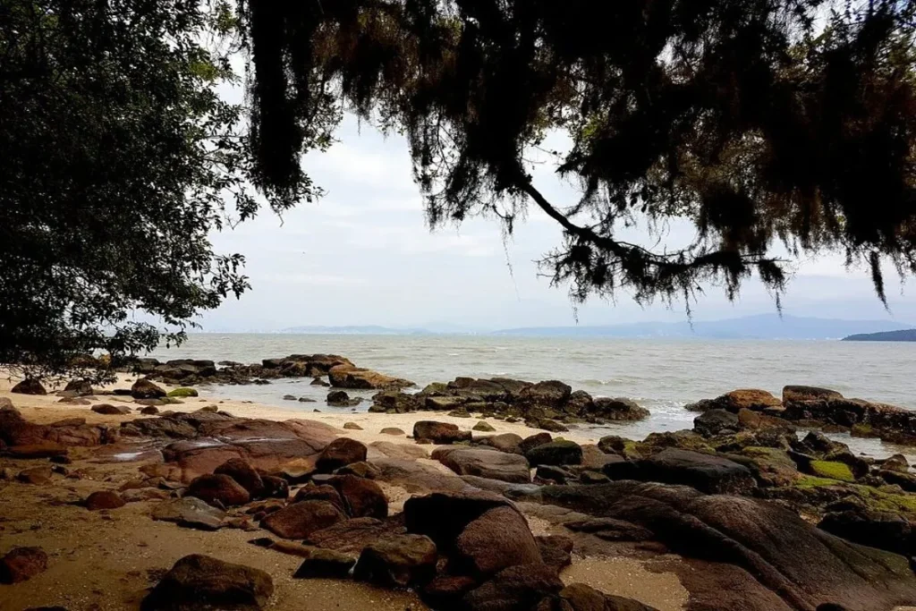 Praia de Sambaqui com pedras e areia, enquadrada por galhos de árvores e plantas penduradas em um dia nublado.