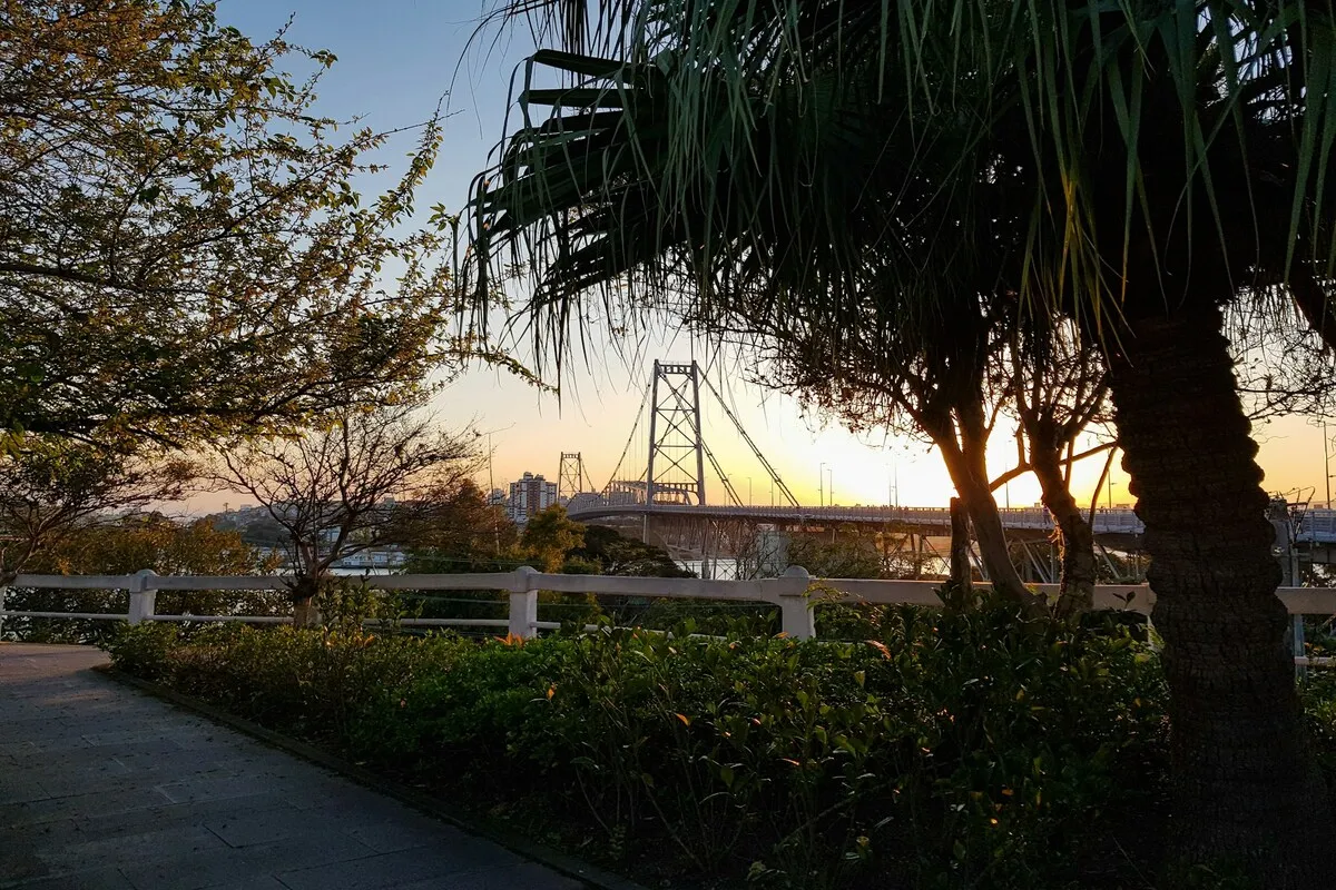 Vista panorâmica da Ponte Hercílio Luz em Florianópolis ao pôr do sol, com palmeiras e árvores em primeiro plano. A imagem representa a beleza da cidade e a viagem, ideal para a palavra-chave 'passagem para Florianópolis'.