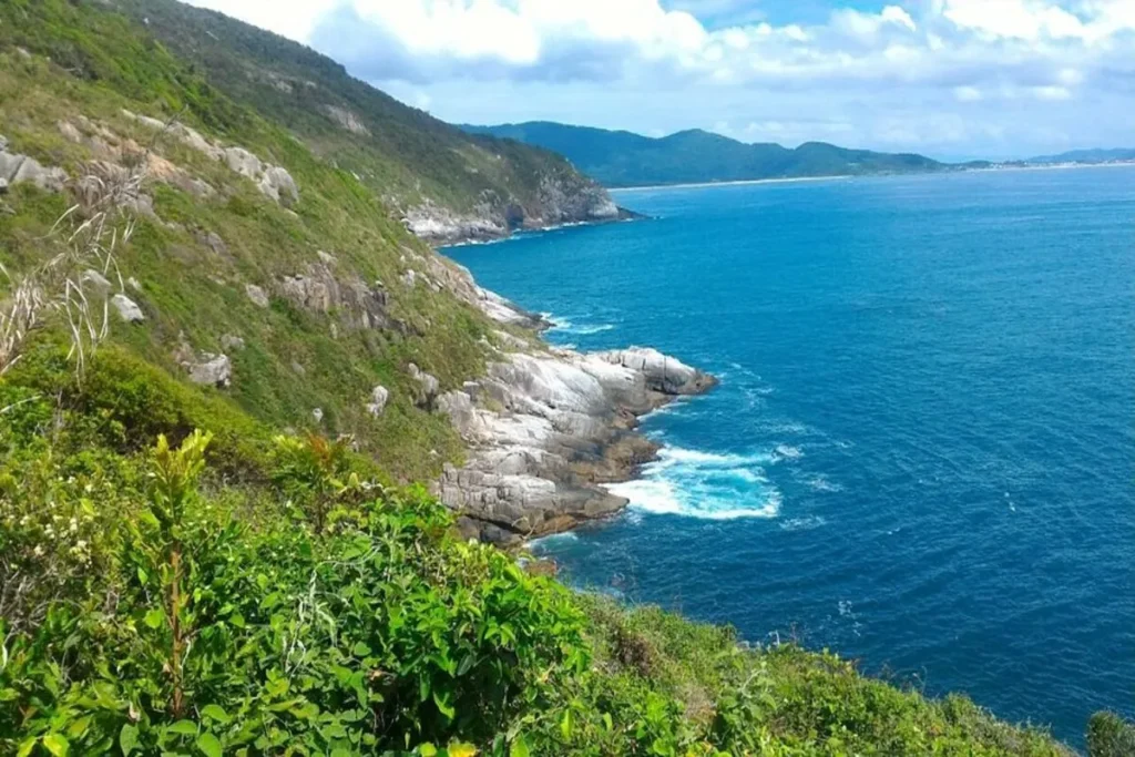 Trilha em Florianópolis na costa rochosa, com vista para o mar azul-claro e a vegetação nativa da ilha.