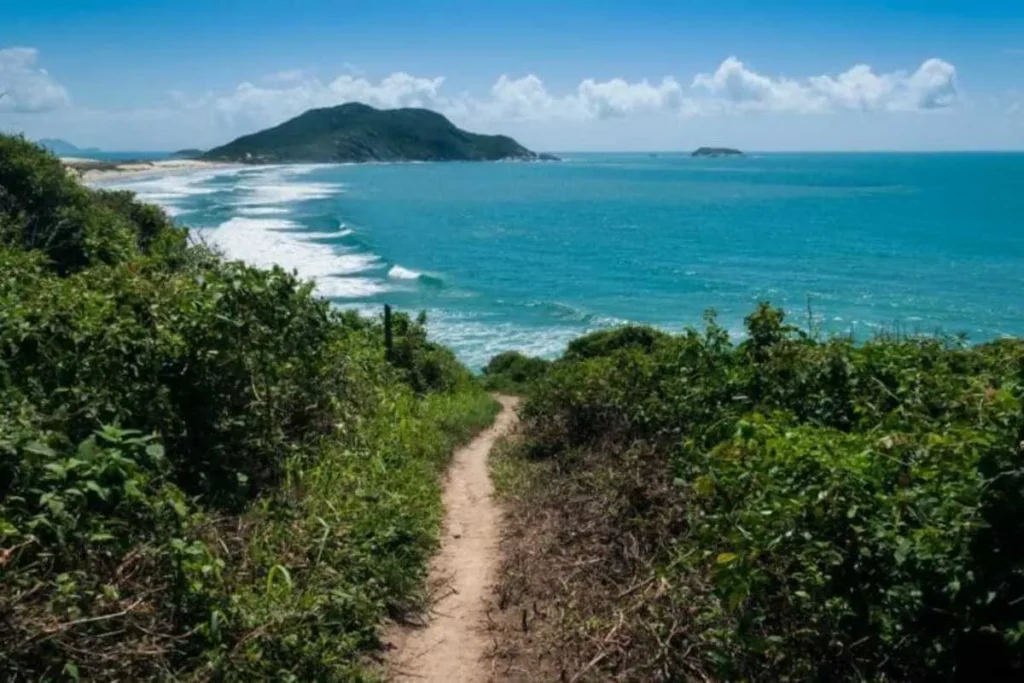 Trilha de terra em Florianópolis com vegetação densa e vista panorâmica para o mar azul e a praia da Joaquina.
