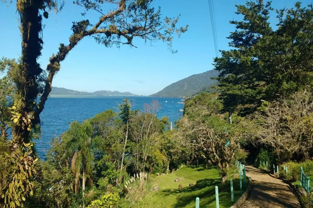 Trilha em Florianópolis com vista panorâmica da Lagoa da Conceição, vegetação exuberante e montanhas ao fundo.