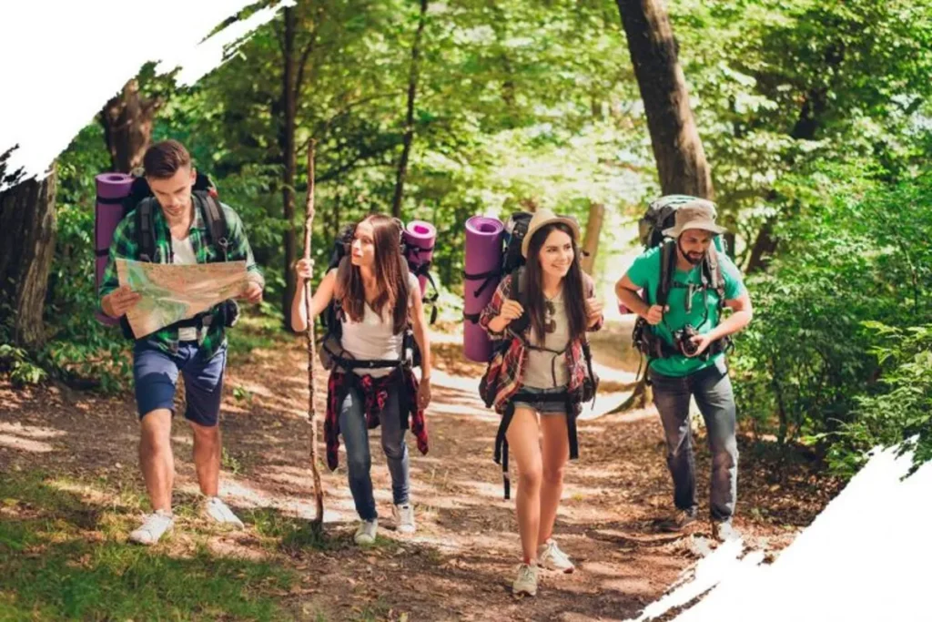 Quatro amigos com mochilas e equipamentos de trilha caminhando por uma trilha arborizada em Florianópolis, Brasil.
