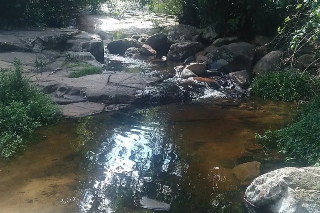 Pequena cachoeira em Florianópolis com poço de águas cristalinas cercado por pedras e vegetação