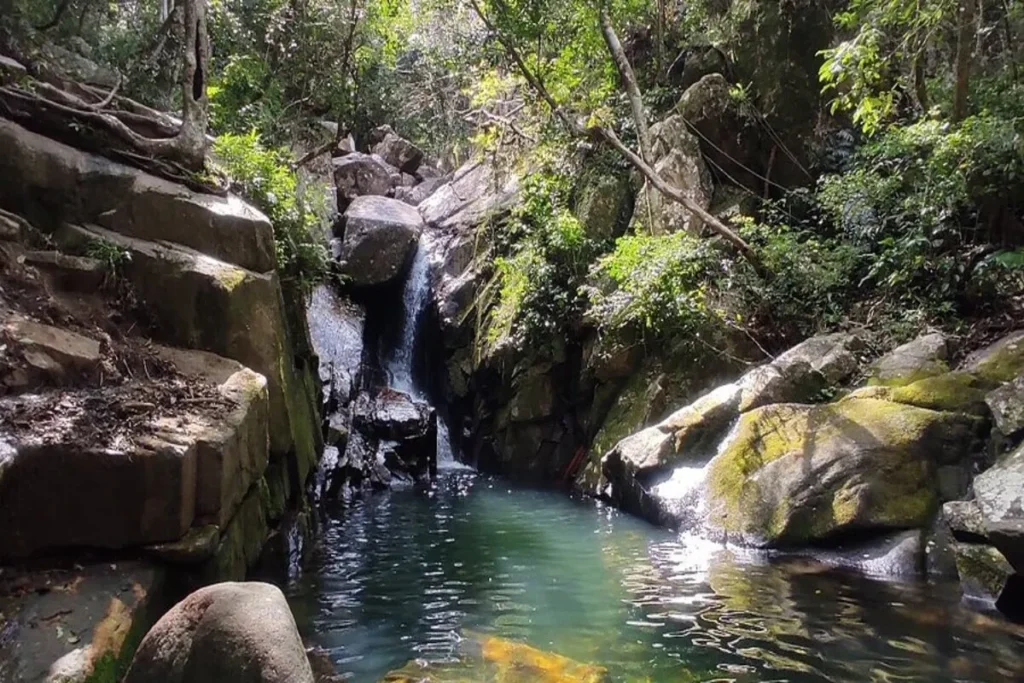 Cachoeira em Florianópolis com poço de águas verdes cercado por pedras e vegetação nativa