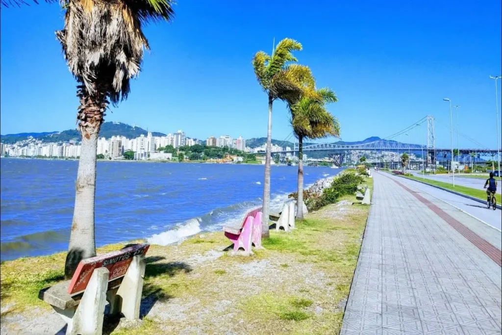Uma foto ensolarada da orla da Beira-Mar Norte em Florianópolis. A imagem mostra uma calçada com ciclovia ao lado do mar, com algumas palmeiras e bancos. A vista se estende pela baía, com a Ponte Hercílio Luz e a silhueta da cidade de Florianópolis ao fundo. Uma pessoa de bicicleta pedala na ciclovia.