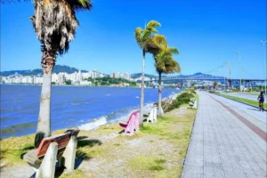 Uma foto ensolarada da orla da Beira-Mar Norte em Florianópolis. A imagem mostra uma calçada com ciclovia ao lado do mar, com algumas palmeiras e bancos. A vista se estende pela baía, com a Ponte Hercílio Luz e a silhueta da cidade de Florianópolis ao fundo. Uma pessoa de bicicleta pedala na ciclovia.