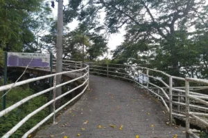 Entrada do mirante do Morro da Cruz em Florianópolis com caminho cercado por árvores
