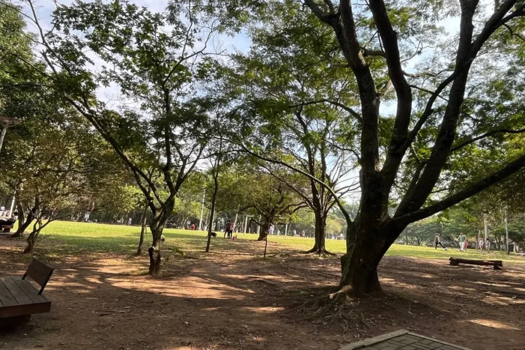 Vista de um parque com grandes árvores, gramado verde e trilhas de terra.