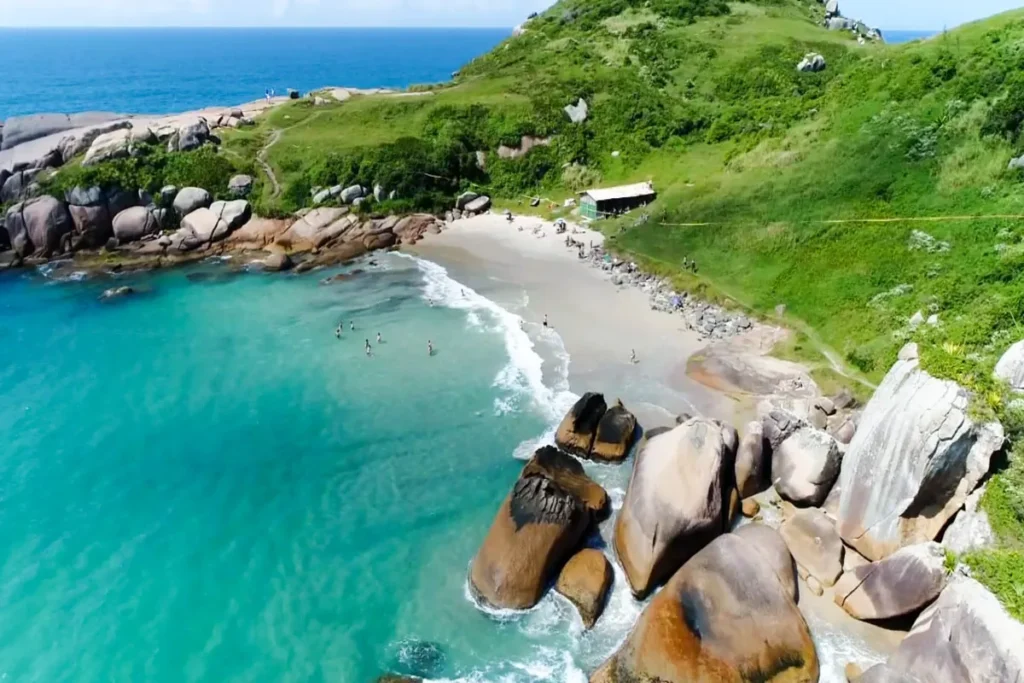 Ponte Hercílio Luz ao pôr do sol, vista de um parque. A ponte, em silhueta, está atrás de um coqueiro e outras árvores. O céu é de um tom de laranja e o sol cria um brilho intenso.