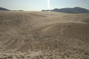 Uma foto das Dunas da Joaquina em Florianópolis, Brasil. A vasta paisagem de areia branca é marcada por inúmeras pegadas. Ao fundo, uma cadeia de morros e o brilho do sol no céu claro.