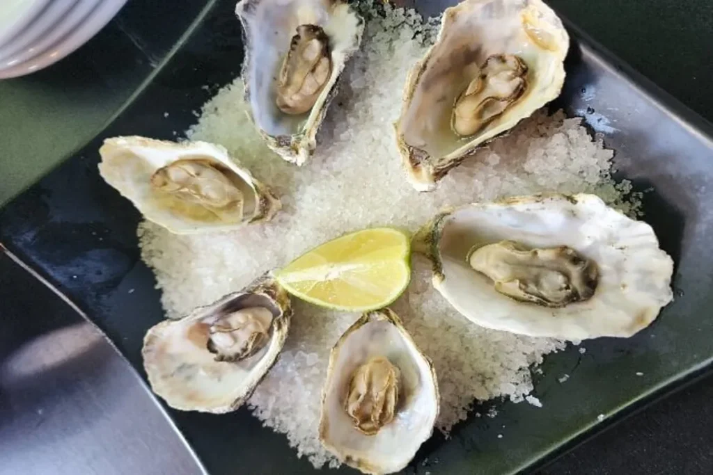 Seis ostras frescas abertas dispostas em círculo sobre sal grosso num prato preto, com uma fatia de limão no centro. Cena de frutos do mar frescos.