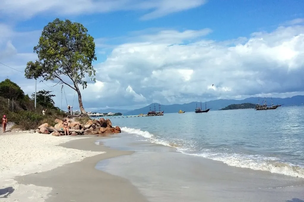 Cena de praia ensolarada com areia clara, mar calmo, árvore na orla e vários barcos piratas de passeio ancorados na baía, típica de Canasvieiras ou Jurerê em Florianópolis.